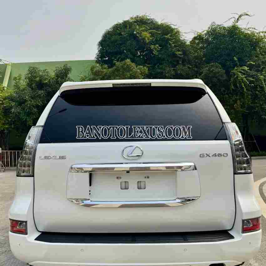 Cần bán xe Lexus GX 460 2014, xe đẹp