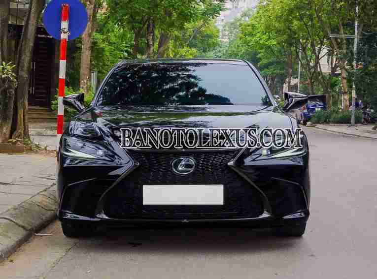 Cần bán gấp xe Lexus ES 250 F Sport 2022 màu Đen