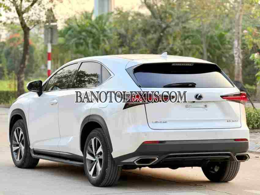 Cần bán Lexus NX 300 2018 - Số tự động
