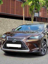 Cần bán gấp xe Lexus NX 300 năm 2019, màu Nâu, Số tự động