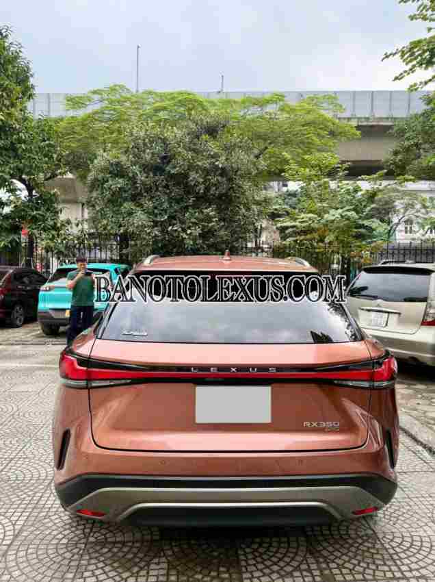 Bán Lexus RX 350 Premium 2023 - Nâu