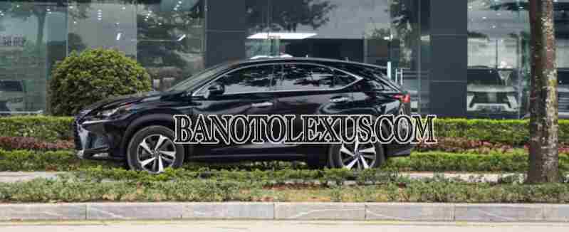 Lexus NX 300 2019 Máy xăng, xe đẹp