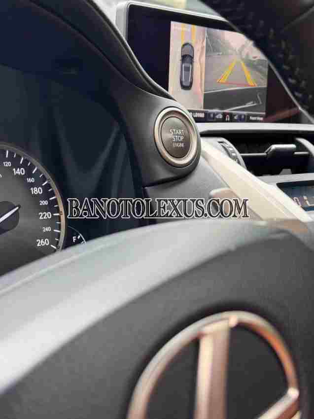 Cần bán nhanh Lexus NX 300 2019 cực đẹp