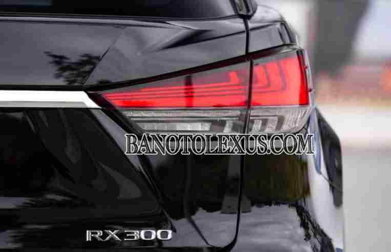 Cần bán Lexus RX 300 đời 2019