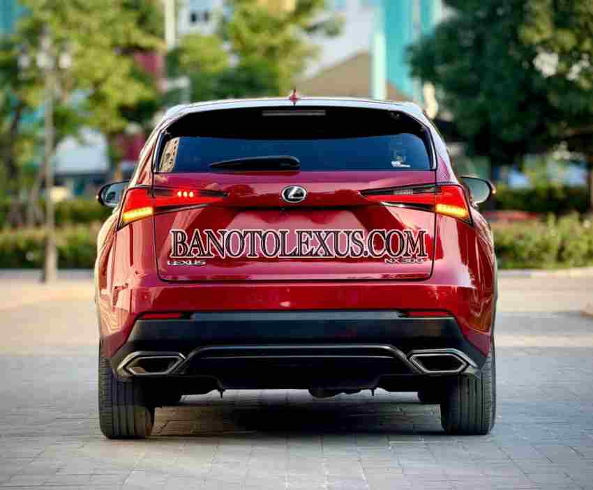 Lexus NX 300 2019 Số tự động cực đẹp!