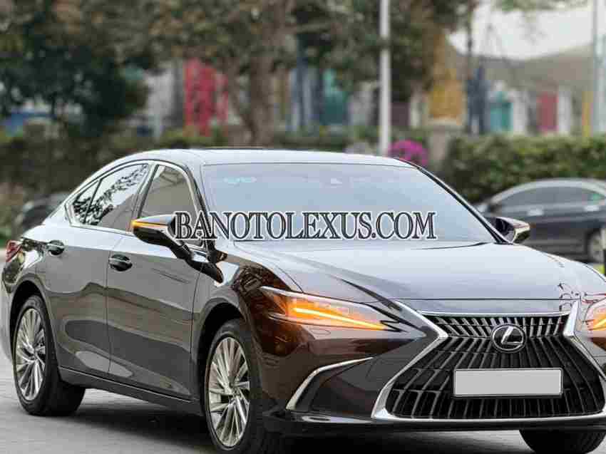 Bán Lexus ES 250, màu Đen, Máy xăng, 2023