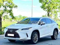 Lexus RX 300 model 2020 xe chuẩn hết ý