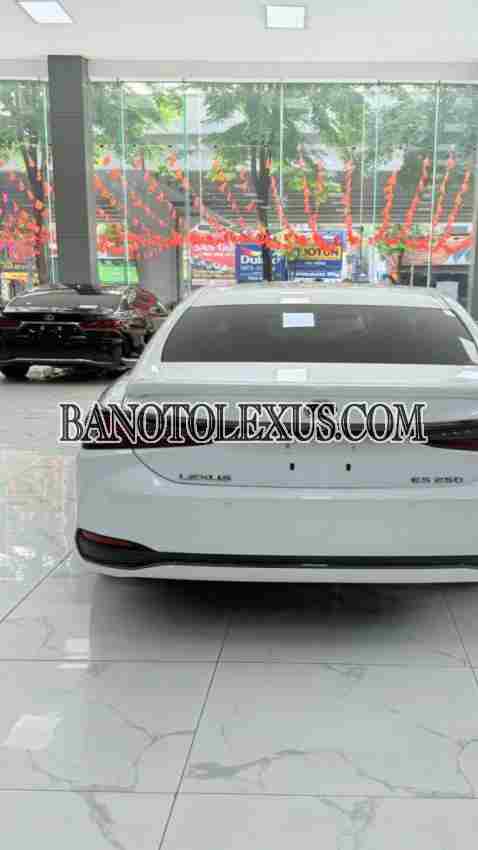 Cần bán Lexus ES 250 F Sport 2022, xe đẹp giá rẻ bất ngờ