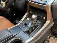 Cần bán Lexus NX 300 đời 2019