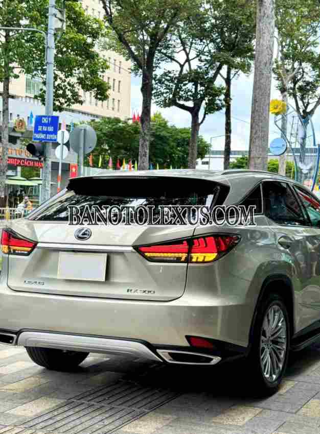Lexus RX 300 model 2019 xe chuẩn hết ý