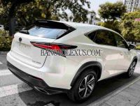 Cần bán gấp Lexus NX 300 năm 2019 giá cực tốt