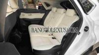 Lexus NX 300 2018 Máy xăng, xe đẹp