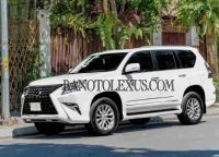 Cần bán xe Lexus GX 460 2010, xe đẹp